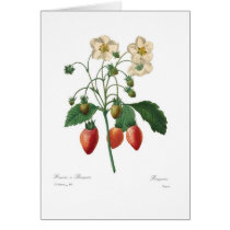 Strawberry Greeting Cards