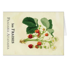 Strawberry Card