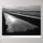 Strawberry Fields with Plastic Fumigation Covers Poster