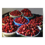 Strawberry  harvest