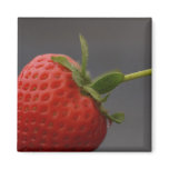 Strawberry Magnet