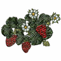 Strawberry Magnet