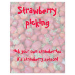 Strawberry picking flyers