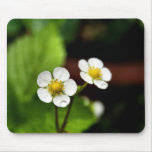 Strawberry Plant Flowers mousepads