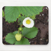 Strawberry Plant Mousepad