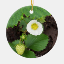 Strawberry Plant Ornament