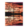 Strawberry Reflections Post Card