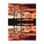 Strawberry Reflections Post Card postcards