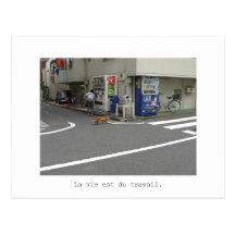 stray cat はがき