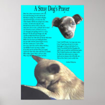 Stray Dog's Prayer Print