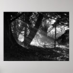 Streak of Light Print