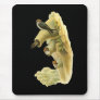 Streaked-throated Swallow Mouse Pads