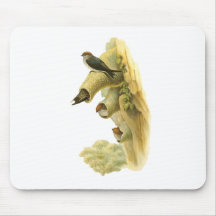 Streaked-throated Swallow Mousepads