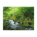 Stream at Springtime Postcard