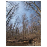 Stream flyers