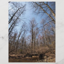 Stream Flyer Design
