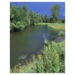Stream in National Bison Range, Montana Flyer Design