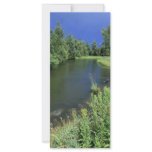Stream in National Bison Range, Montana Customized Rack Card
