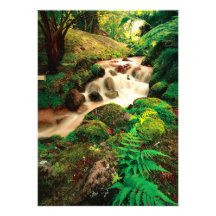Stream in the forest personalised invites