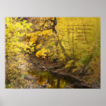 Stream in the Forest posters