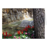Stream with Red Flowers Greeting Card
