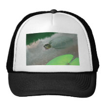 Stream with Turtles and Fish Mesh Hats