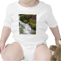 Streams Brooks Water Moss Leaves Shirt