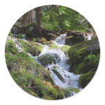 Streams Moss Water Forests Rocks stickers
