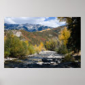 Streamside posters