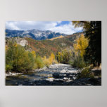 Streamside Poster