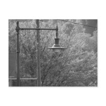 Street Lamp Post Card