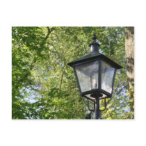 Street light post card