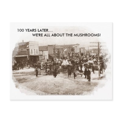 STREETS OF MESICK, MICHIGAN circa 1909 POSTCARD by layooper
