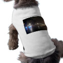Streetscape IV  - Greenfield as Paris pet clothing