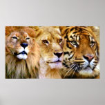 Strength & Power_ Print