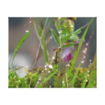 Stretched Canvas Print - Wet Grass