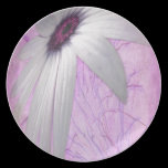 stretched daisy. plates