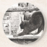 stretching cat beverage coasters