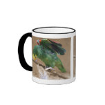 Stretching Double Yellow Headed Amazon Parrot Mugs