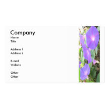 Stretching Morning Glories Business Cards