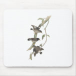 Striated sittella mouse pad