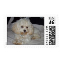 Strike a Pose! postage