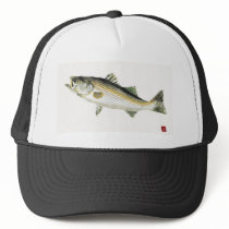 Striped Bass Hat