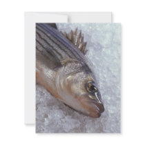 Striped bass personalized invites