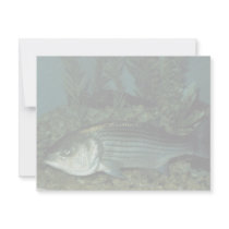 Striped Bass Custom Invitations