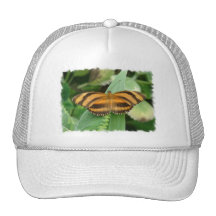 Striped Butterly Baseball Hat