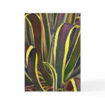 Striped century plant notecard