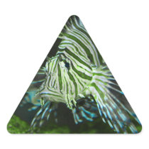 Striped Fish