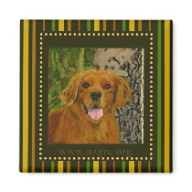 Striped Golden Retriever Magnet AZGRC
