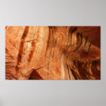 Striped Rock of Double Arch Alcove Poster